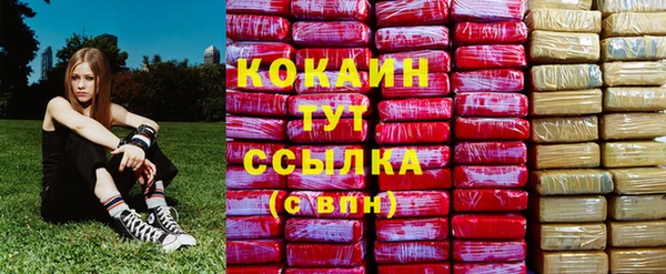 PSILOCYBIN Абинск