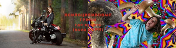PSILOCYBIN Абинск