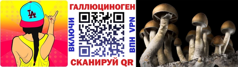 Псилоцибиновые грибы Magic Shrooms  Бавлы 